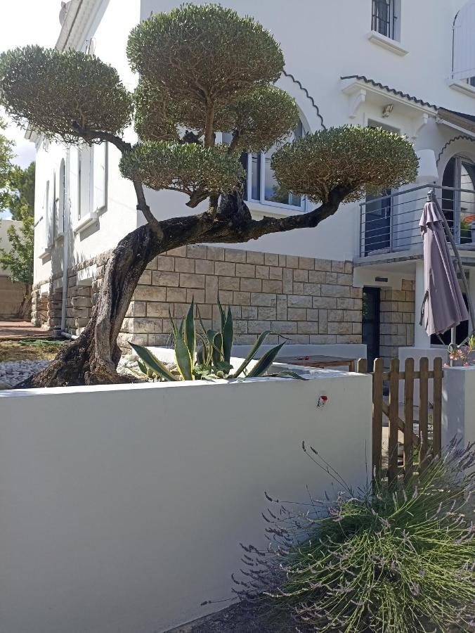 Chambres D'Hotes La Pastourelle Royan Centre Luaran gambar